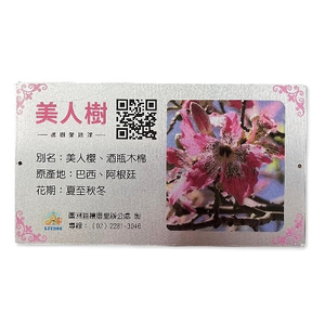 Commentary Card-Beauty Tree