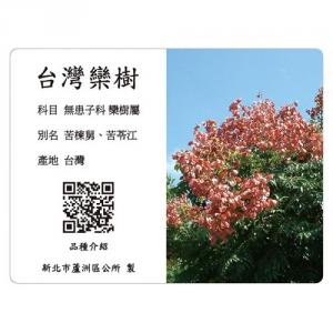 Commentary Card-Taiwan Luanshu