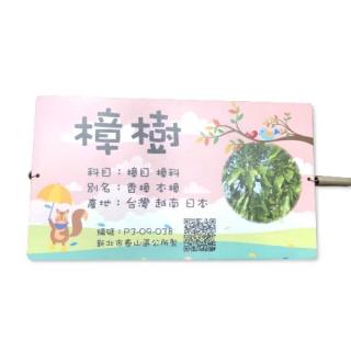 Commentary Card - Camphor Tree