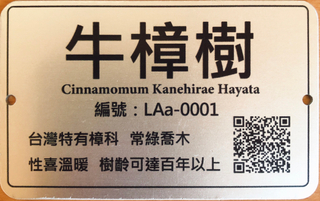 Precious Tree Brand - Cinnamomum Vulgaris