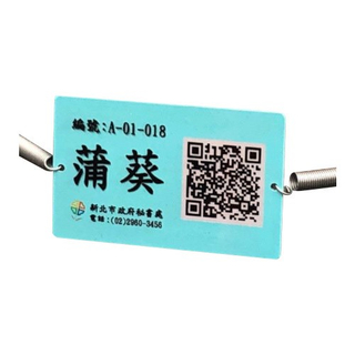 Adopt The Inscription Version To Promote Palmetto