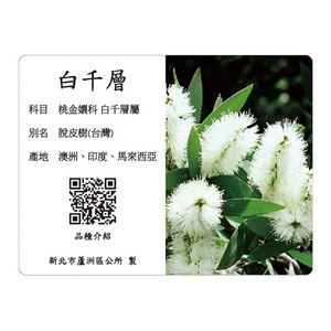 Commentary Card - Melaleuca